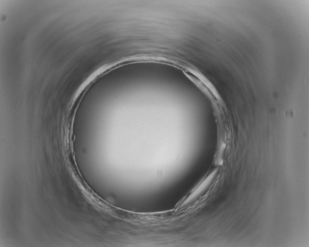 X0000081611101200702051348