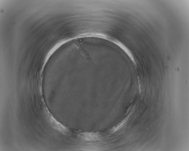 X0000081611102200702051348