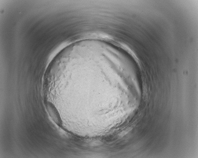 X0000081611103200702051348