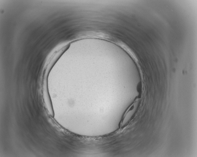 X0000081611104200702051348