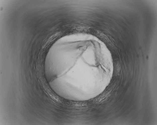 X0000081611105200702051347