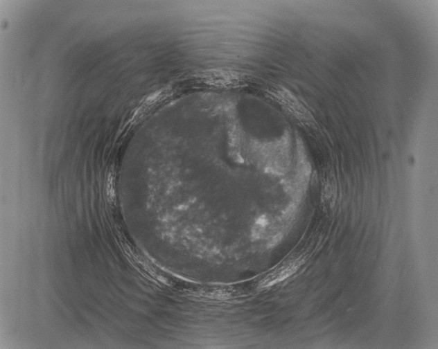 X0000081611106200702051347