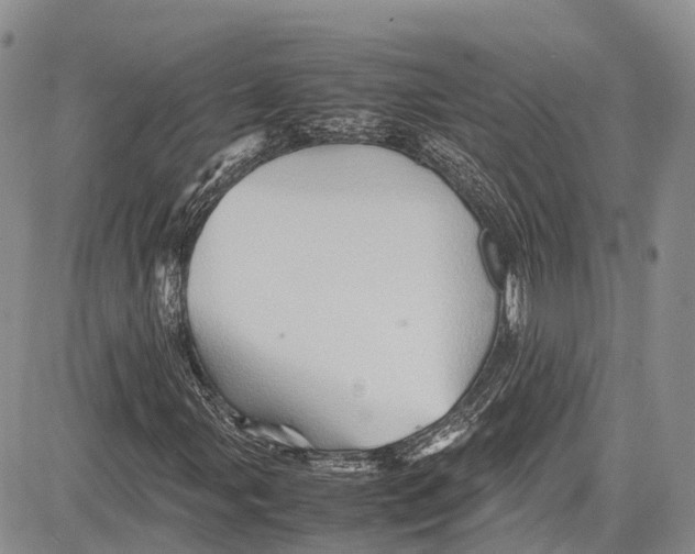 X0000081611107200702051347