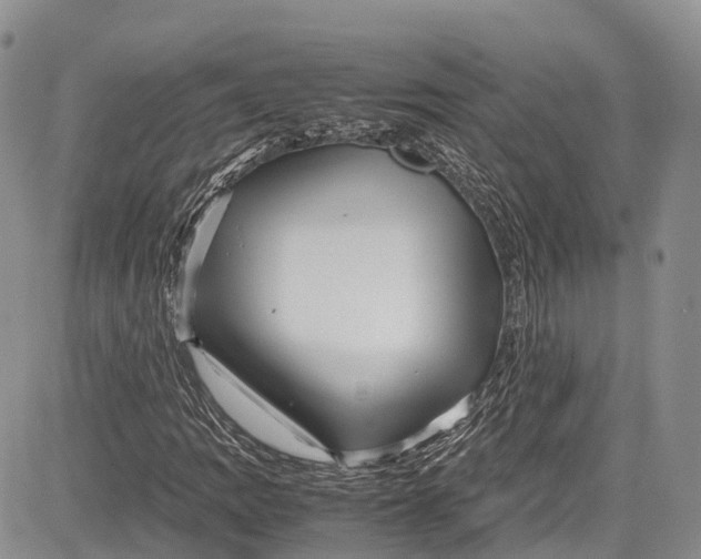 X0000081611109200702051347