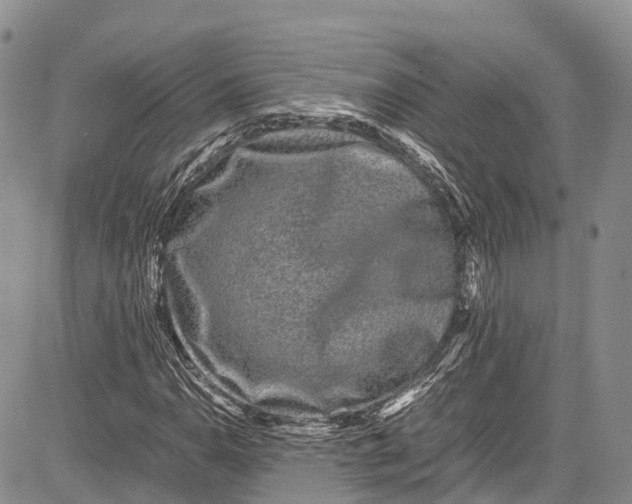 X0000081611110200702051347