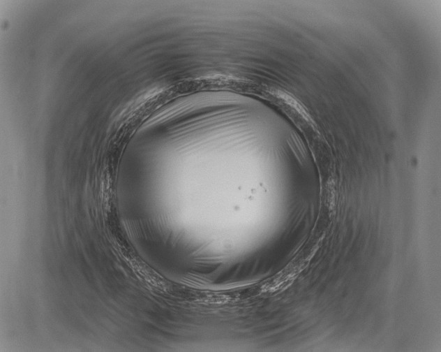 X0000081611111200702051347