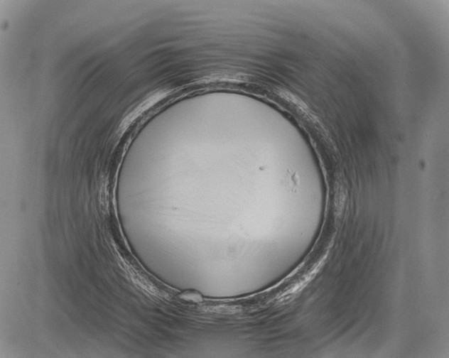 X0000081611113200702051347