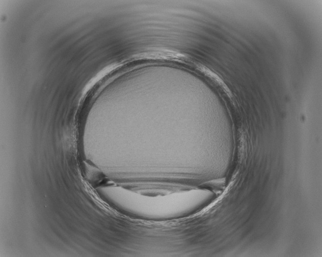 X0000081611114200702051347