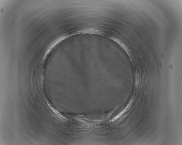 X0000081611115200702051347