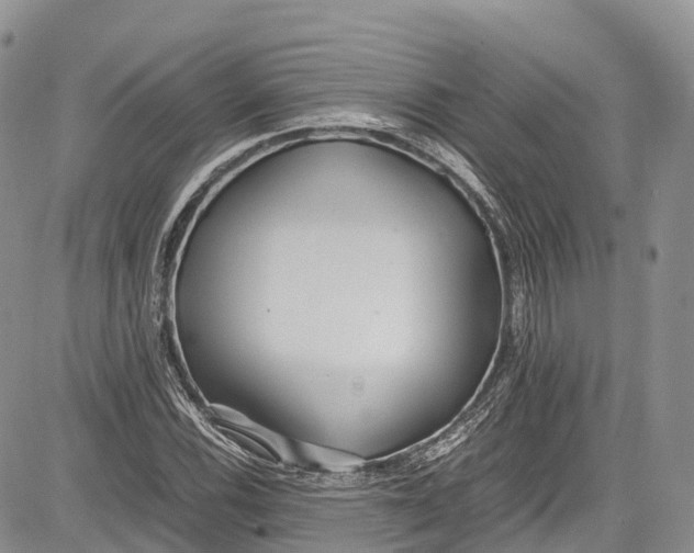 X0000081611116200702051347