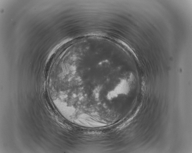 X0000081611117200702051347