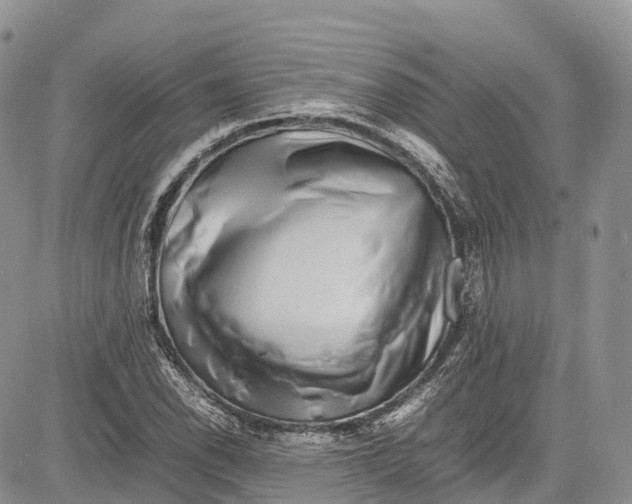 X0000081611118200702051347