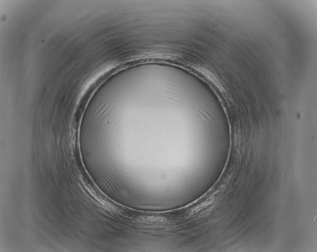 X0000081611119200702051347