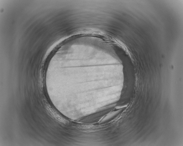 X0000081611120200702051347