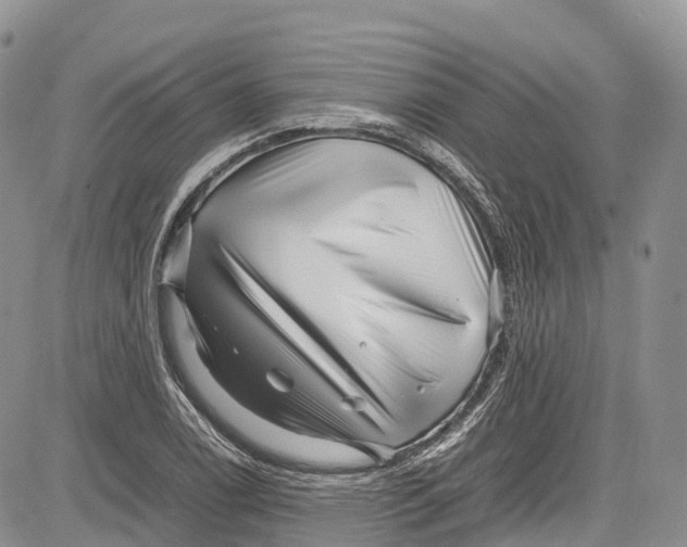 X0000081611122200702051347