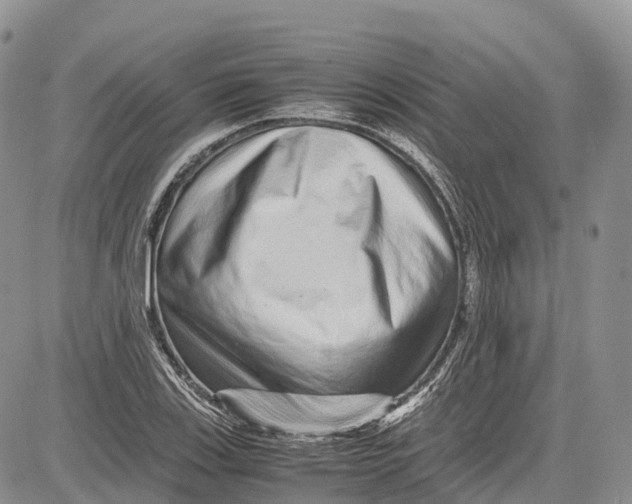 X0000081611123200702051347