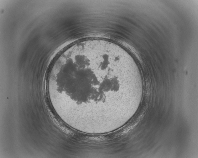 X0000081611125200702051347