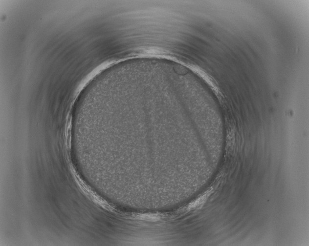 X0000081611126200702051347