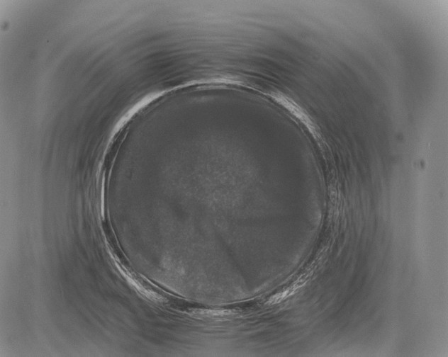 X0000081611127200702051347