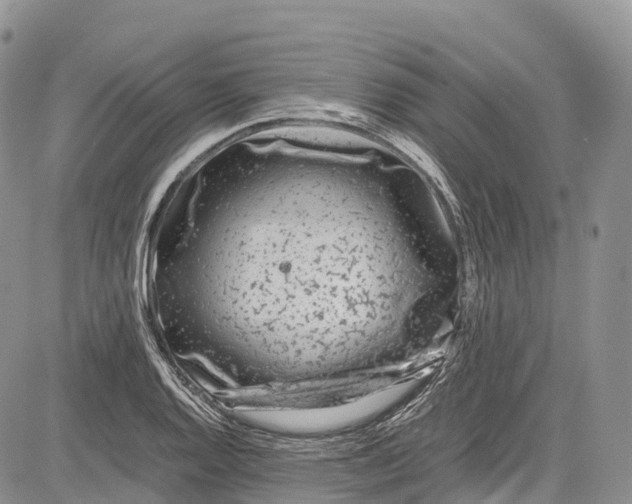 X0000081611128200702051347