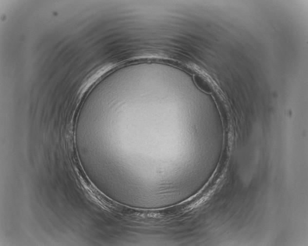 X0000081611129200702051347