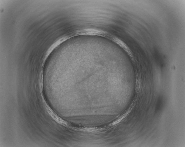 X0000081611130200702051347