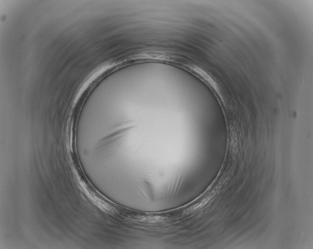 X0000081611131200702051347