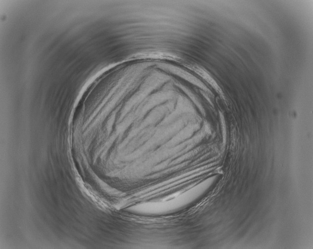 X0000081611132200702051347