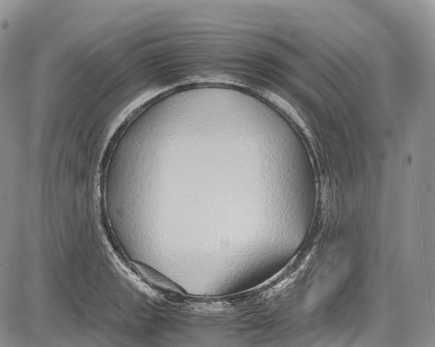 X0000081611133200702051347