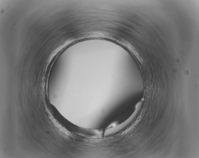 X0000081611134200702051348