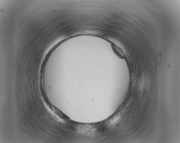 X0000081611135200702051348