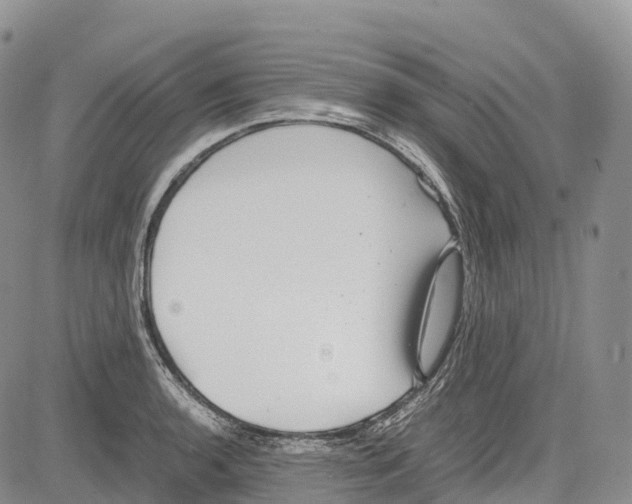 X0000081611136200702051348