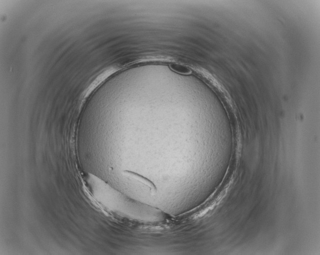 X0000081611137200702051348