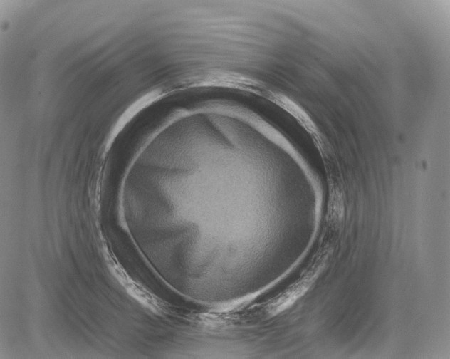 X0000081611138200702051348