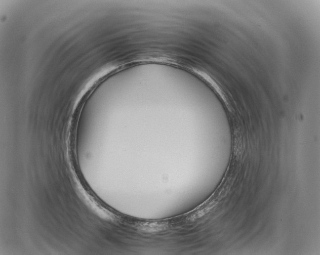 X0000081611139200702051348