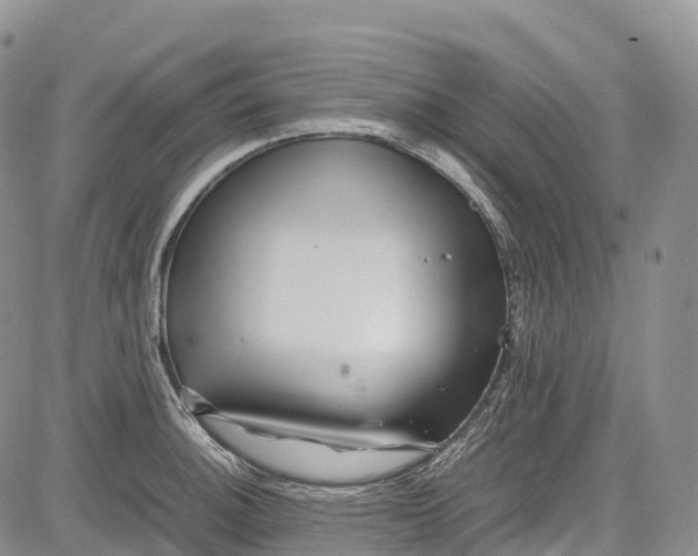 X0000081611140200702051348