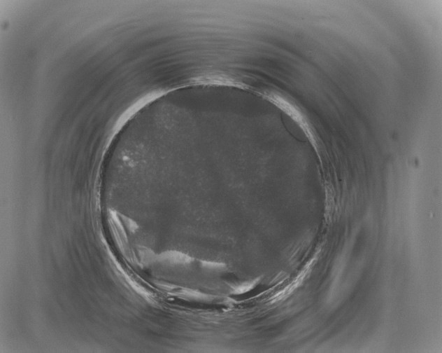 X0000081611141200702051348