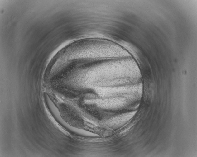 X0000081611142200702051348