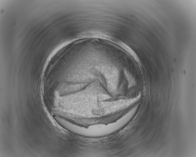 X0000081611144200702051348