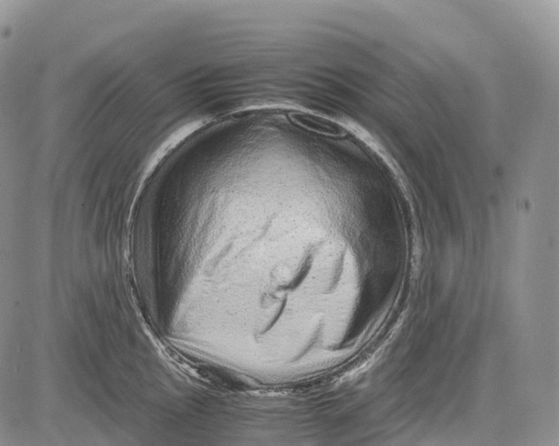 X0000081611145200702051348