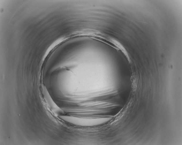 X0000081611146200702051348