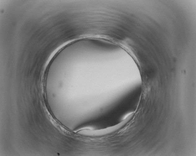 X0000081611148200702051348