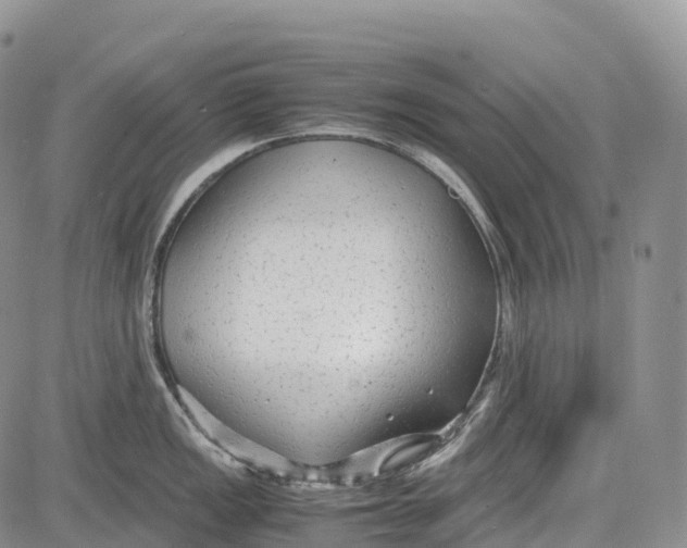 X0000081611149200702051348