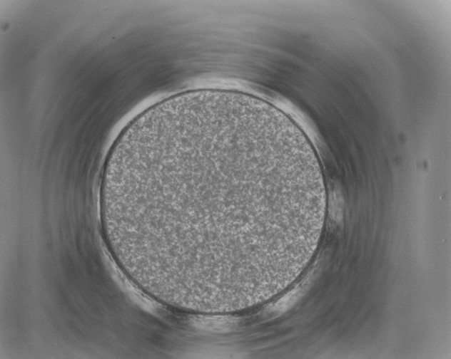 X0000081611150200702051348