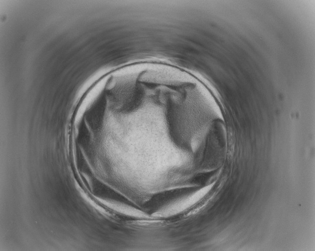 X0000081611151200702051348