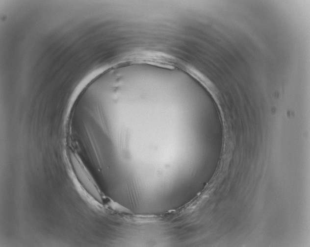 X0000081611152200702051348