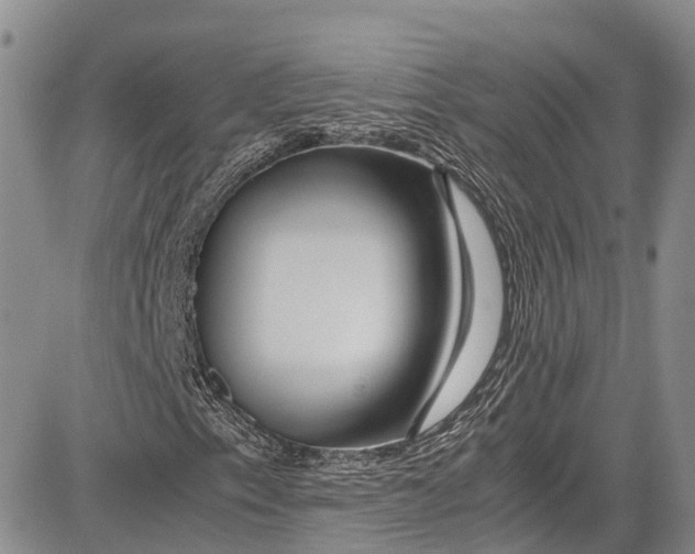 X0000081611153200702051347