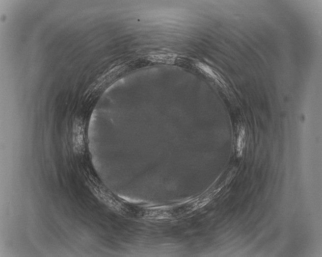 X0000081611154200702051347