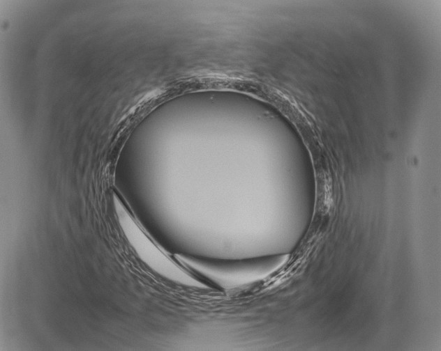 X0000081611157200702051347