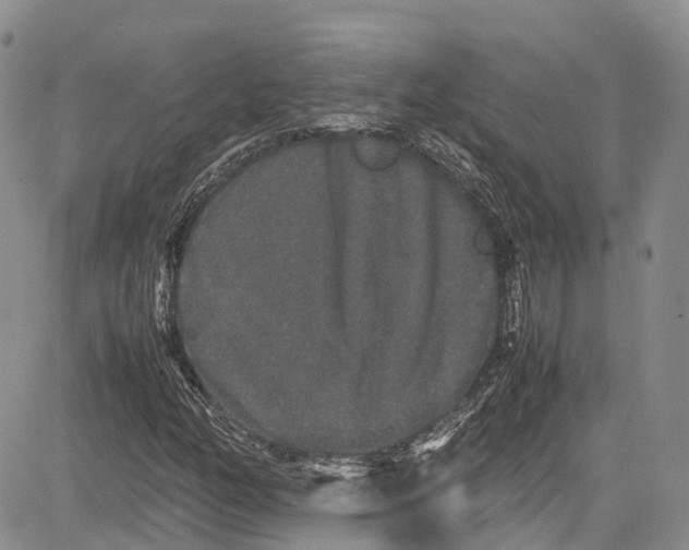 X0000081611158200702051347